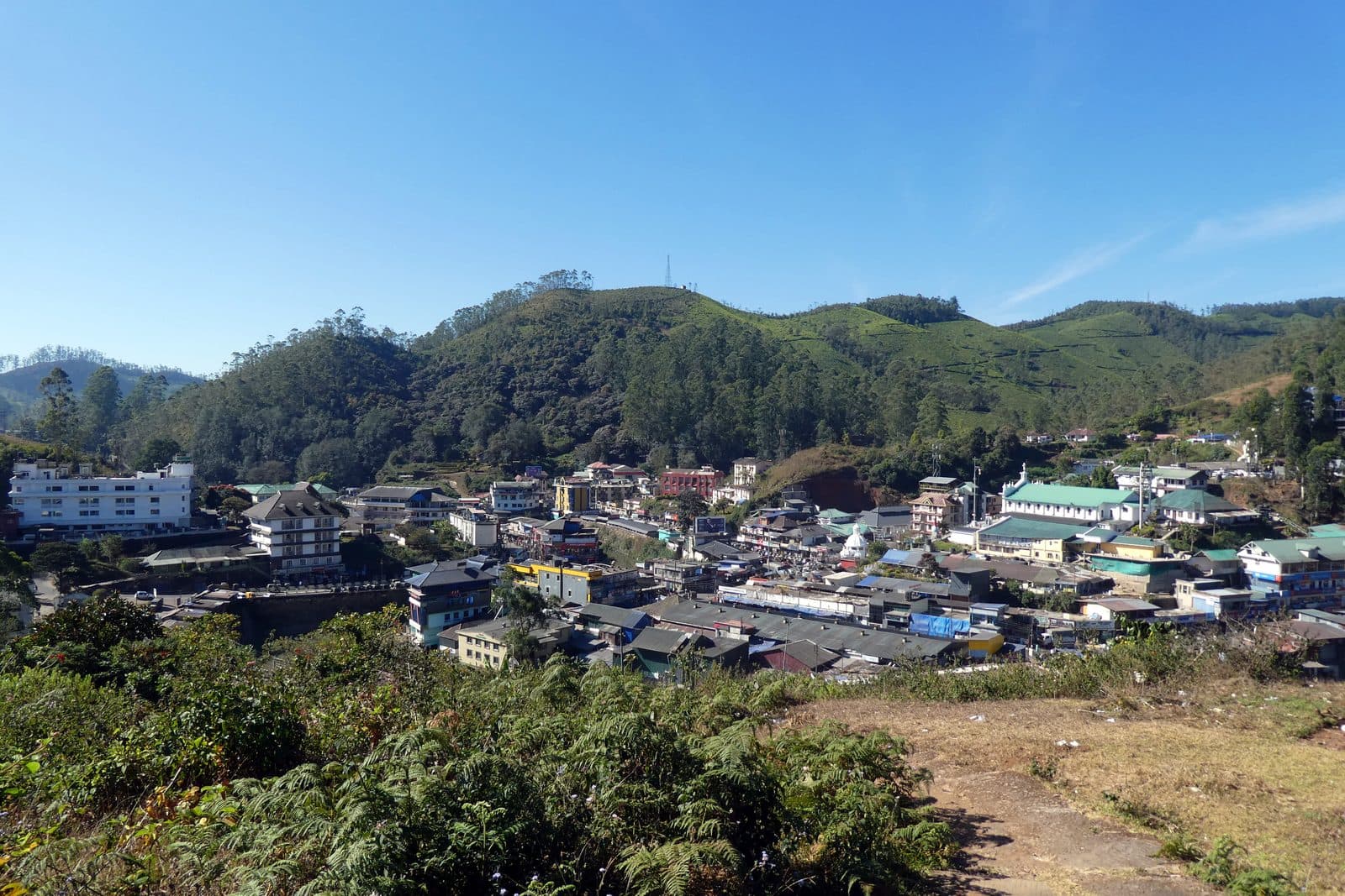 Munnar, Kerala
